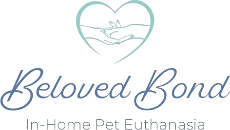 beloved bond in home pet euthanasia