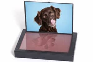 paw print of your dog in a frame