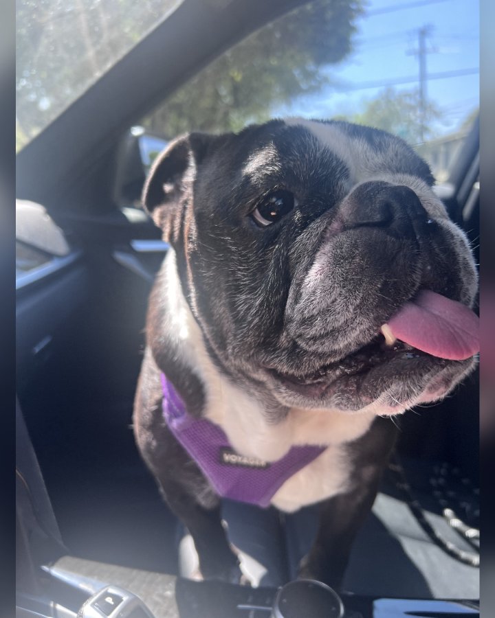 Ellie