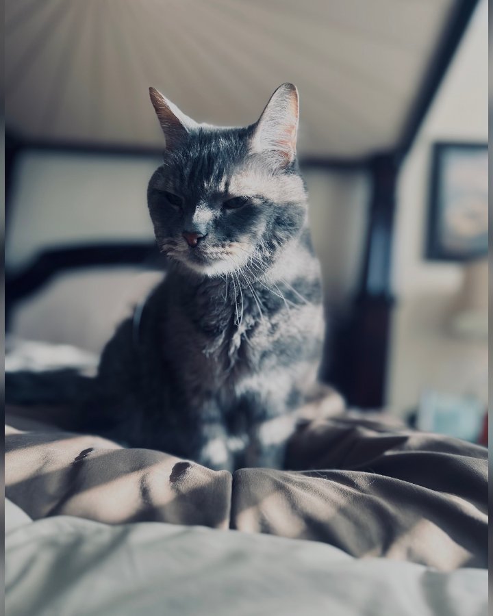 Gilligan “Gilly”