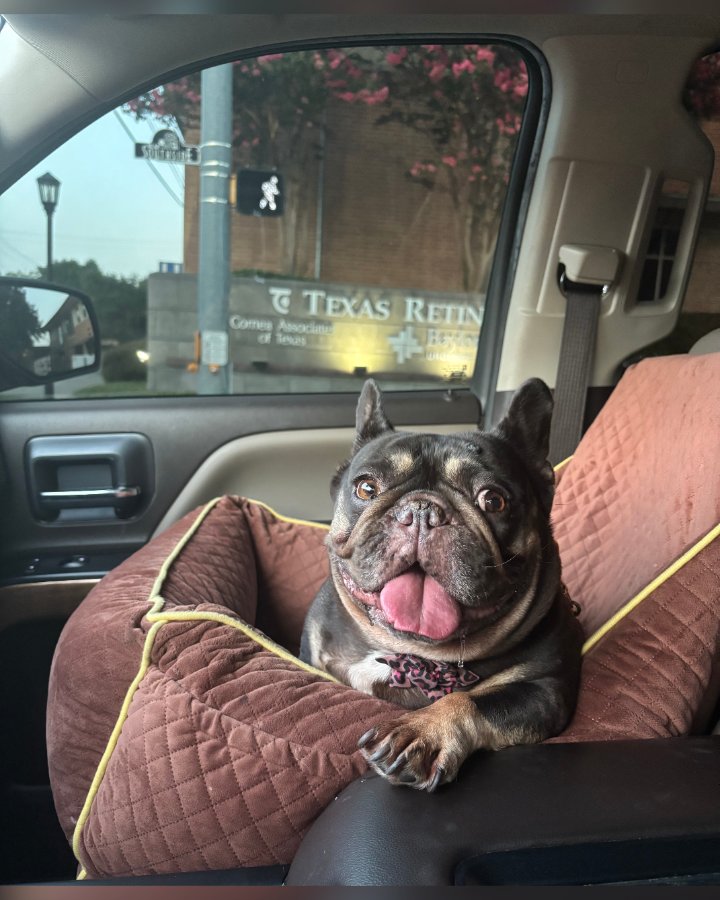 Koko