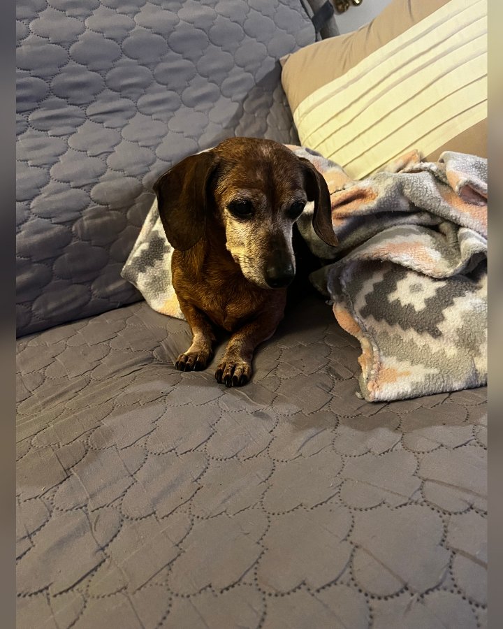 Minnie