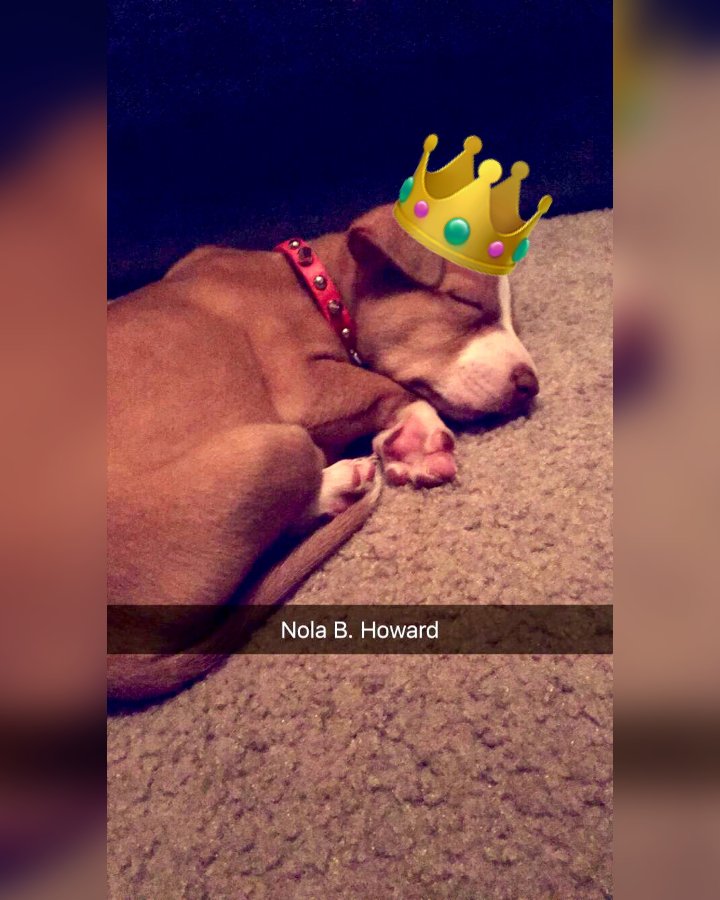 Nola B