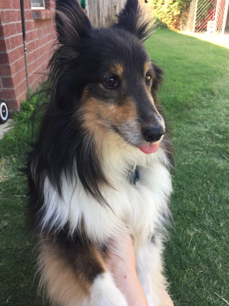 Toby
