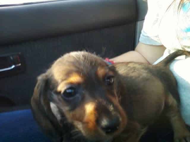 Rusty